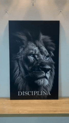 Novedisimos giphyupload GIF