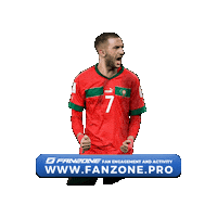 Hakim Ziyech Turkey Sticker by Fanzone.pro