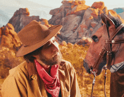 Cowboy Why Are You Sad GIF