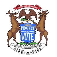 Voting Rights Eagle Sticker by Creative Courage