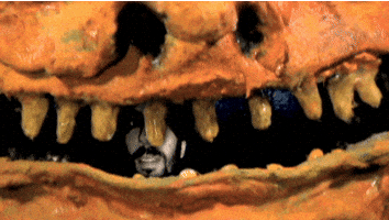 stop motion animation GIF by Charles Pieper