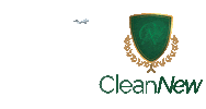 sofa limpeza Sticker by Clean New