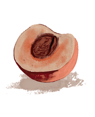 Summer Fruit Sticker