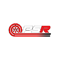 Prospeedracing racing speed psr pro speed racing Sticker