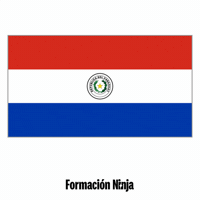Flag Bandera GIF by Formación Ninja