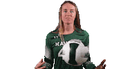 Beach Volleyball Sticker by Hawaii Athletics