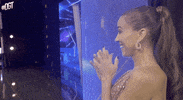 Feliz Emocionada GIF by Dominicana's Got Talent