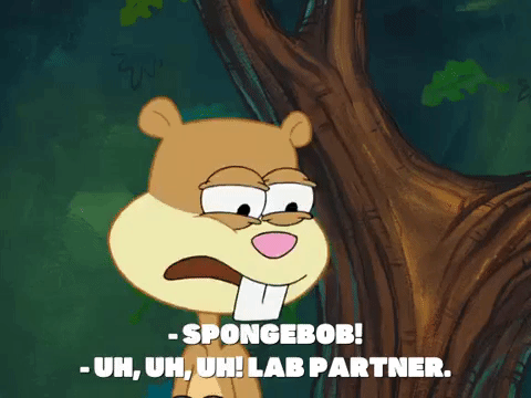 season 7 episode 26 GIF by SpongeBob SquarePants