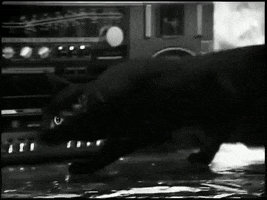 sonic youth 90s GIF