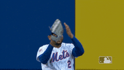 Ny Mets Clap GIF by New York Mets