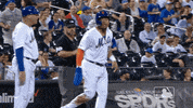 ny mets baseball GIF by New York Mets
