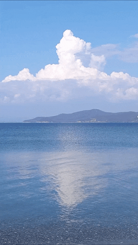 Simongip giphygifmaker GIF