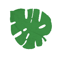 KEarleyArt green plant plants leaf Sticker