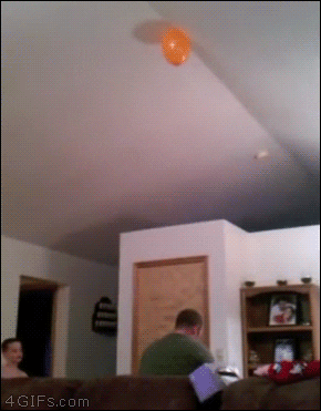 giffunme giphyupload GIF