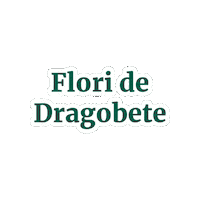 florariamagnolia dragobete flori de dragobete floraria magnolia dragobete floraria magnolia Sticker
