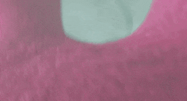 jumping kelly clarkson GIF by UglyDolls