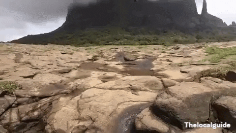 Thelocalguide giphygifmaker GIF