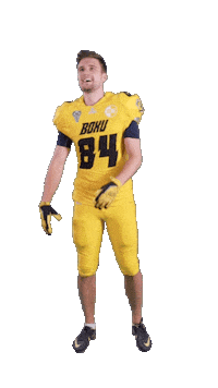 Football Ball Sticker by ACSL - Austrian College Sports League