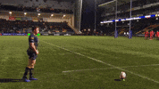 rugby union kick GIF by Worcester Warriors