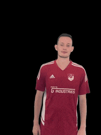 Football Soccer GIF by tusbexterhagen