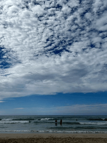 lailanelleantonettemoir-selvage  GIF