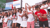 Football Cheering GIF by Wisconsin Badgers