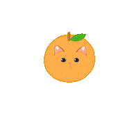 Cat Orange Sticker