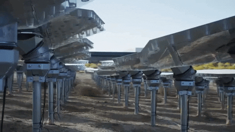 tulsimo giphygifmaker GIF