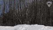 Snowboarding Winter Sports GIF by All-Round Champion