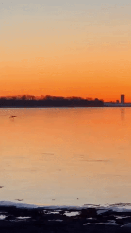Birds Fly Low Over Lake Erie on Cold Spring Morning