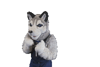 fight punch Sticker by UConn Huskies