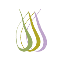 TenutaCesano organic puglia biologico olioevo Sticker