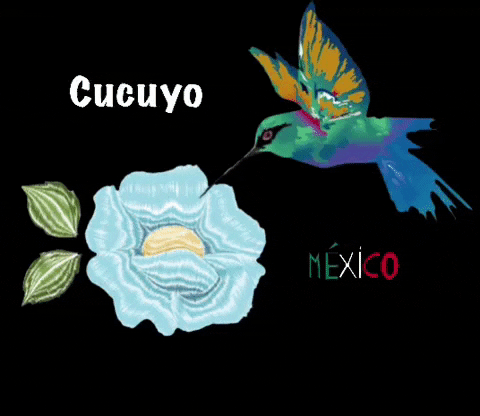 GIF by Cucuyo