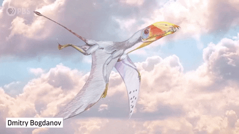 GIF by PBS Digital Studios