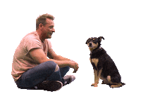 High Five Dog Sticker by RTLde