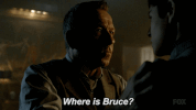fox broadcasting GIF by Gotham