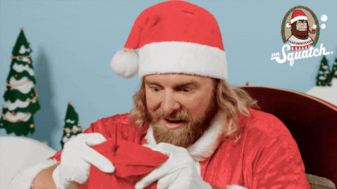 Merry Christmas GIF by DrSquatch