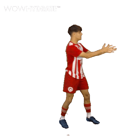 Football Soccer Sticker by Gulf United FC