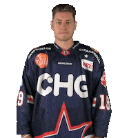 Ice Hockey Thumbs Up Sticker by Ravensburg Towerstars