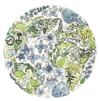 Sticker by Little Planet