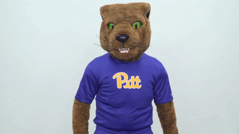 happy college sports GIF by Pitt Panthers