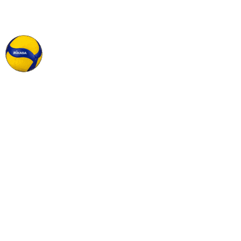Sport Ace Sticker by Pallavolo Media Umbria