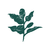 bjorklunds coffee cafe 커피 카페 Sticker