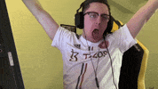 Esports Gamer GIF by BLAST