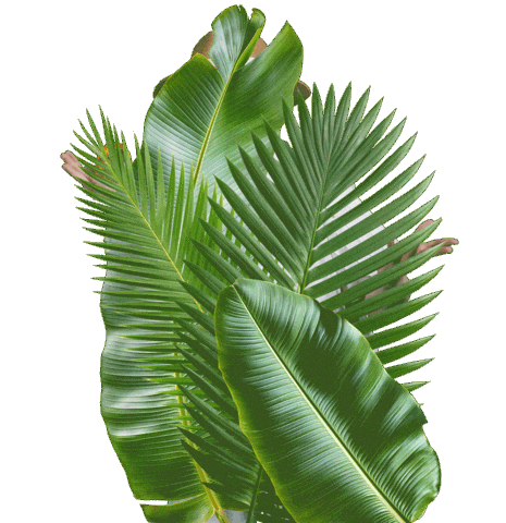 Jurassic Park Dinosaur Sticker by Oasis Arts Inc