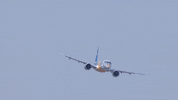 Airplane Eagle GIF by Safran
