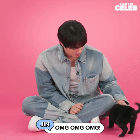 Jin OMG OMG OMG