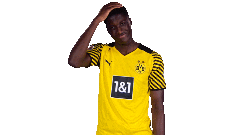 No Way Omg Sticker by Bundesliga