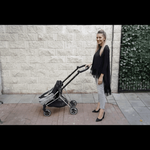 deeaibacka giphyupload baby mother stroller GIF