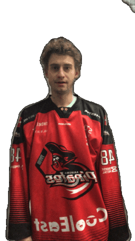 Pirates Aalborg Sticker by AalborgPirates